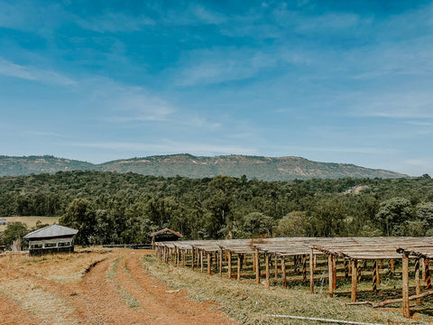 Éthiopie | Sidama