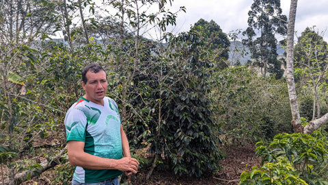 Micro-lot | Homer Alarcon Gayoso