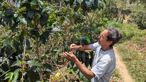 bivouac_origine_perou_1
