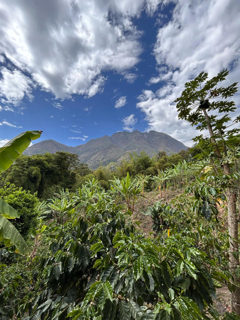 bivouac_origine_perou_5