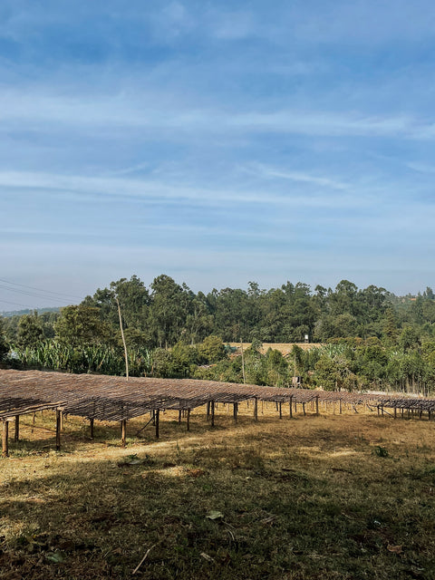 bivouac_visite_producteurs_cafe_ethiopie_11