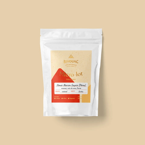 Micro-lot | Homer Alarcon Gayoso