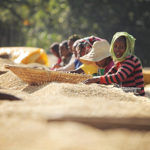 Éthiopie | Sidama