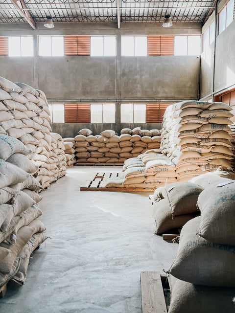 Micro-lot | Guji Dhaka Bor Banti