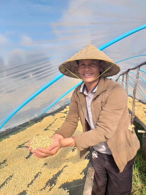 Laos | Plateau des Bolovens