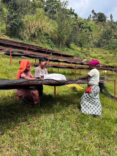 Rwanda | Kodukak