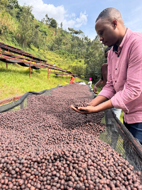 Rwanda | Kodukak