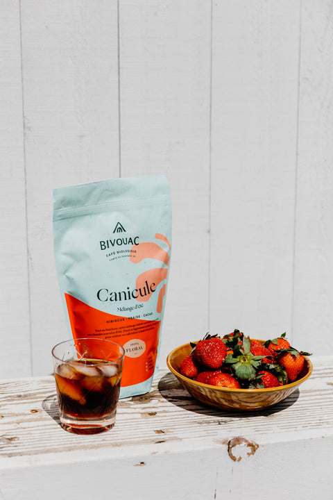 melange_cold_brew_bivouac