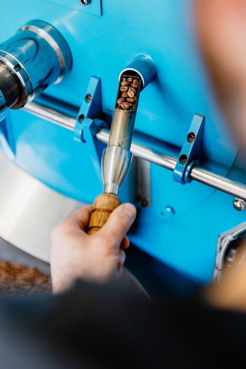 torrefacteur_bivouac